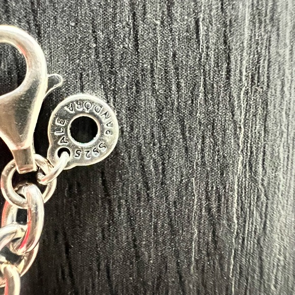 PANDORA Engravable Bar Link Bracelet - Picture 6 of 6